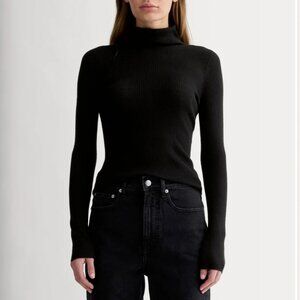 NWT Everlane The Turtleneck in Ultrasoft Merino